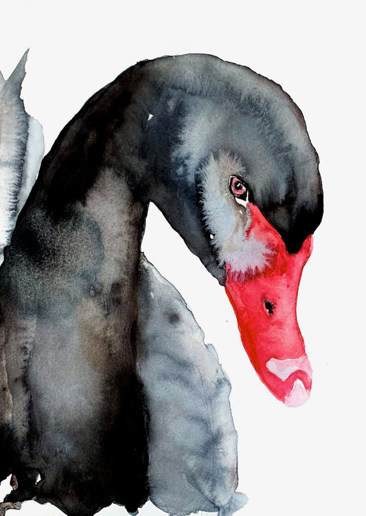 Odd Nodd April Newsletter
