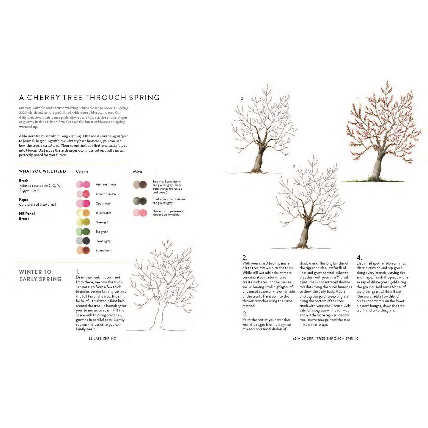 Internal page titled "A Cherry Tree Through Spring" with a color swatch chart and steps to drawing and painting