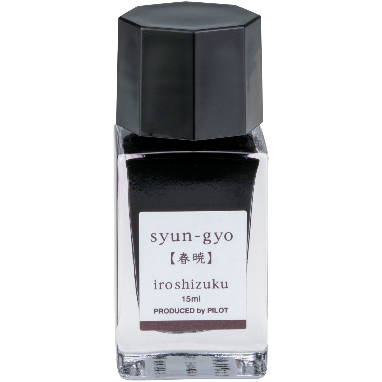 Syun-gyo Iroshizuku Fountain Pen Inks - Odd Nodd Art Supply