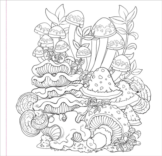Mushrooms Artist Coloring Book