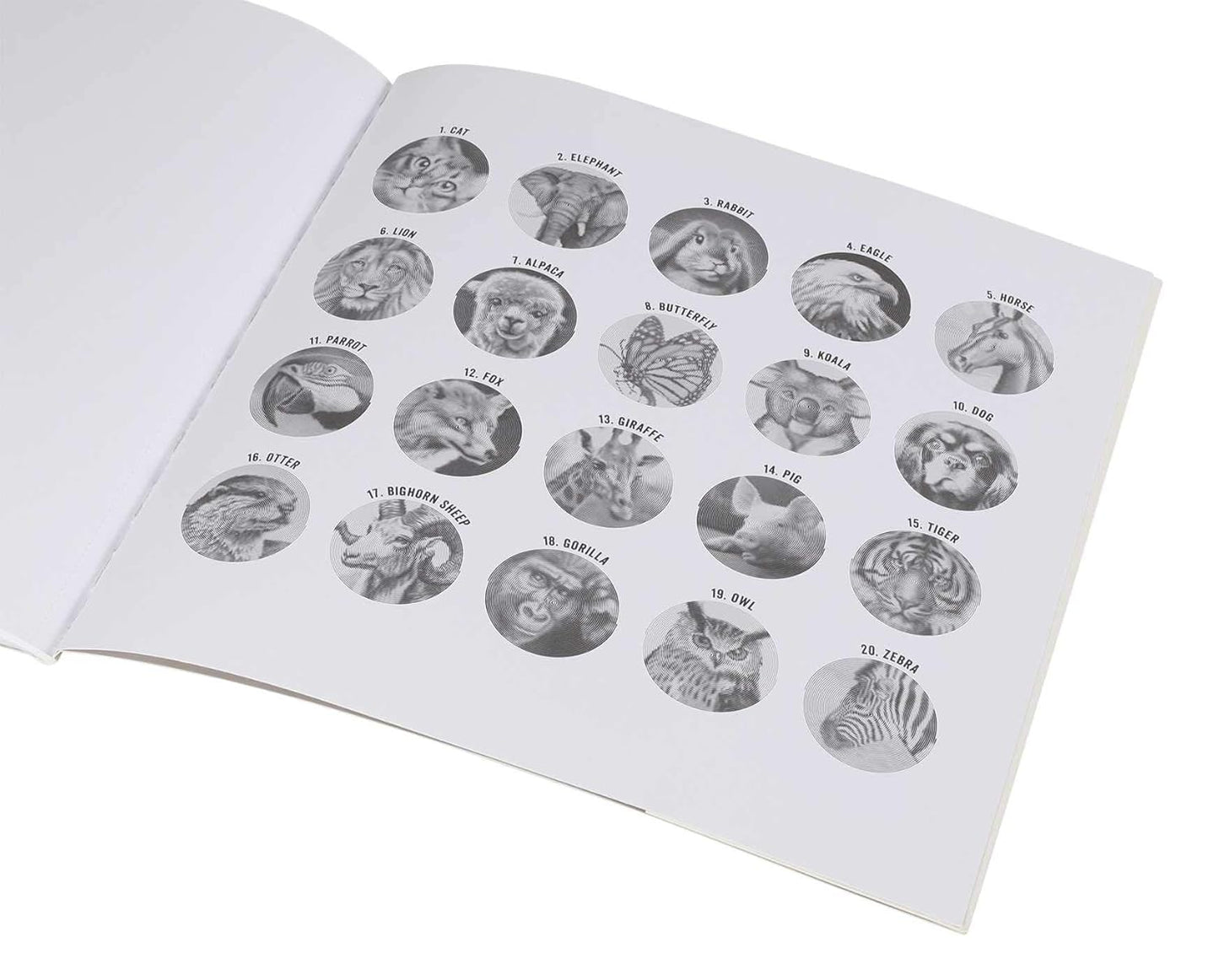 Spiroglyphics Book Series - Odd Nodd Art Supply