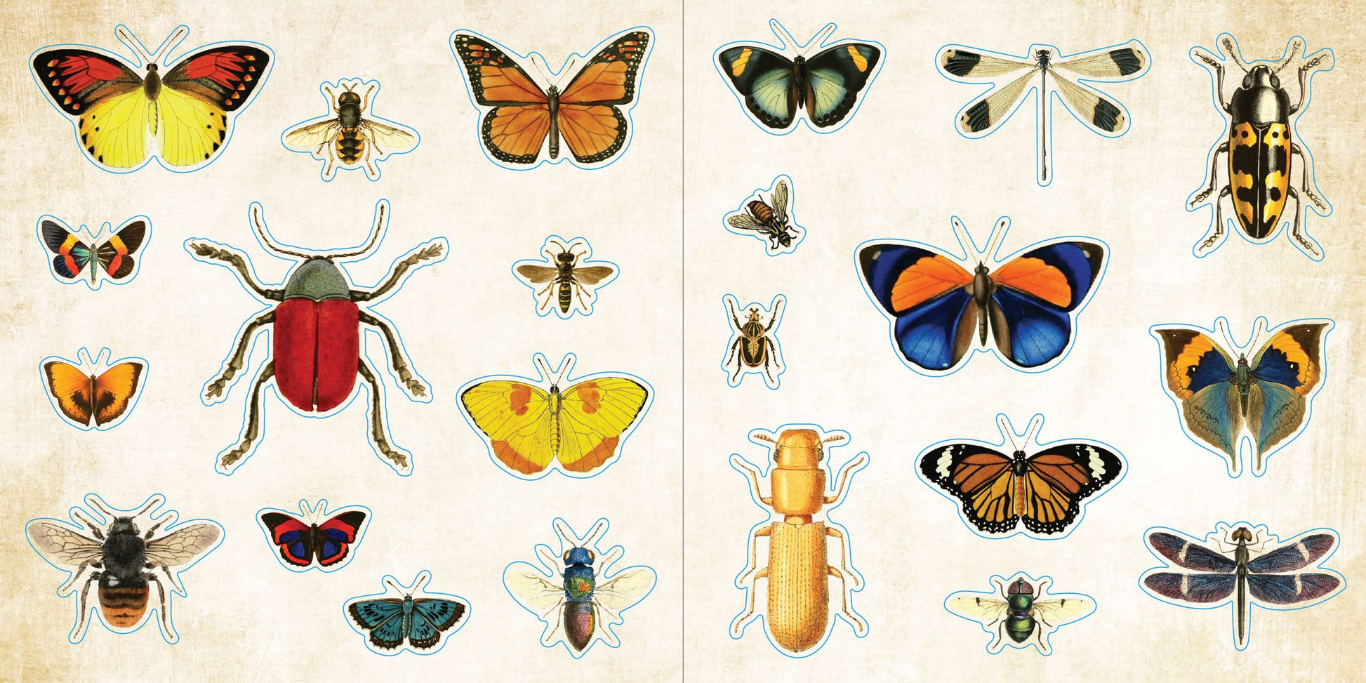 Loads of Ephemera Sticker Book