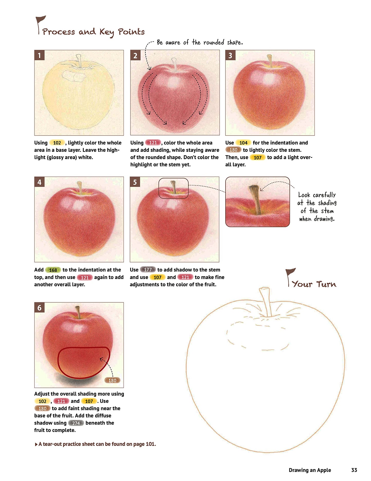 A Beginner's Guide to Colored Pencil Drawing: Realistic Drawings in 14 Easy Lessons! (With Over 200 illustrations)