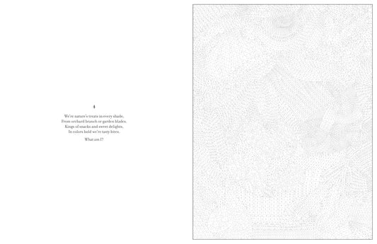 Mystery Coloring Books