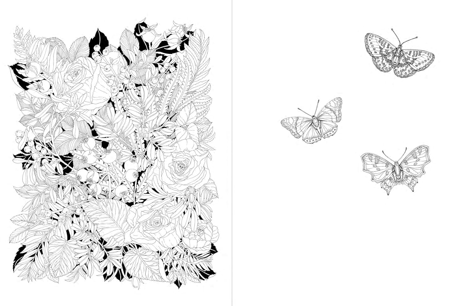 A Walk in the Woods: An Intricate Coloring Book