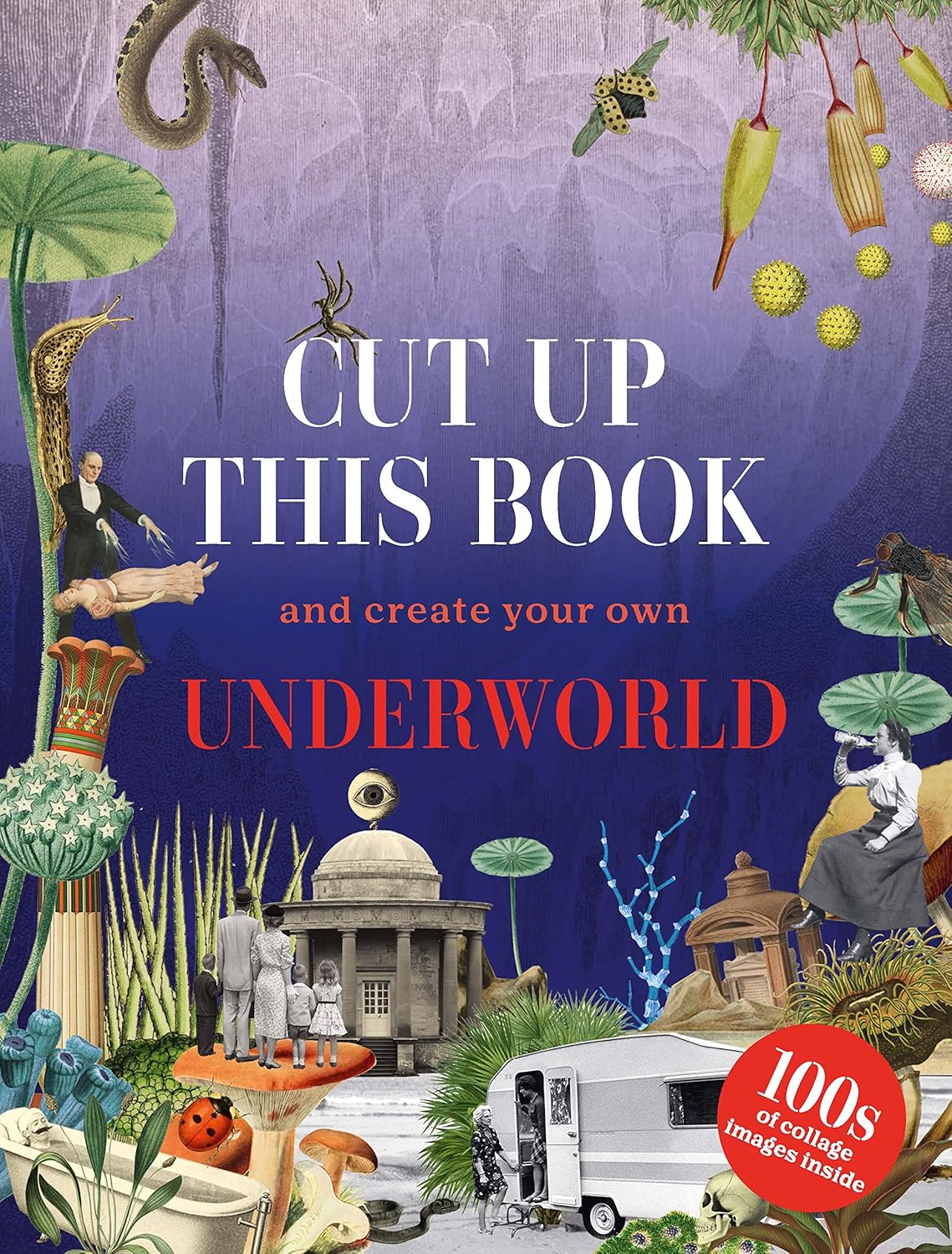 Cut Up This Book and Create Your Own