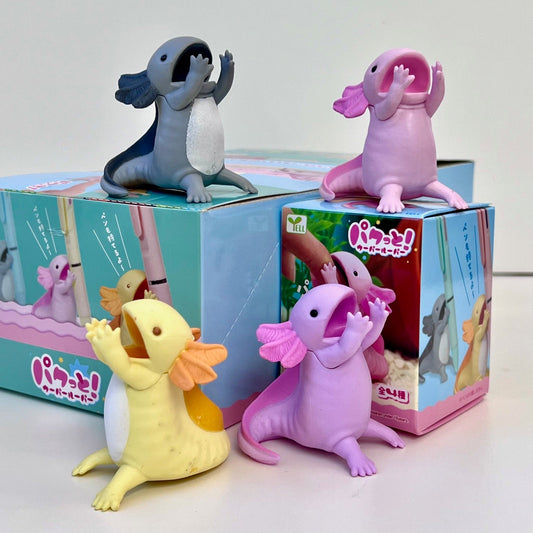 Axolotl Blind Box - Odd Nodd Art Supply