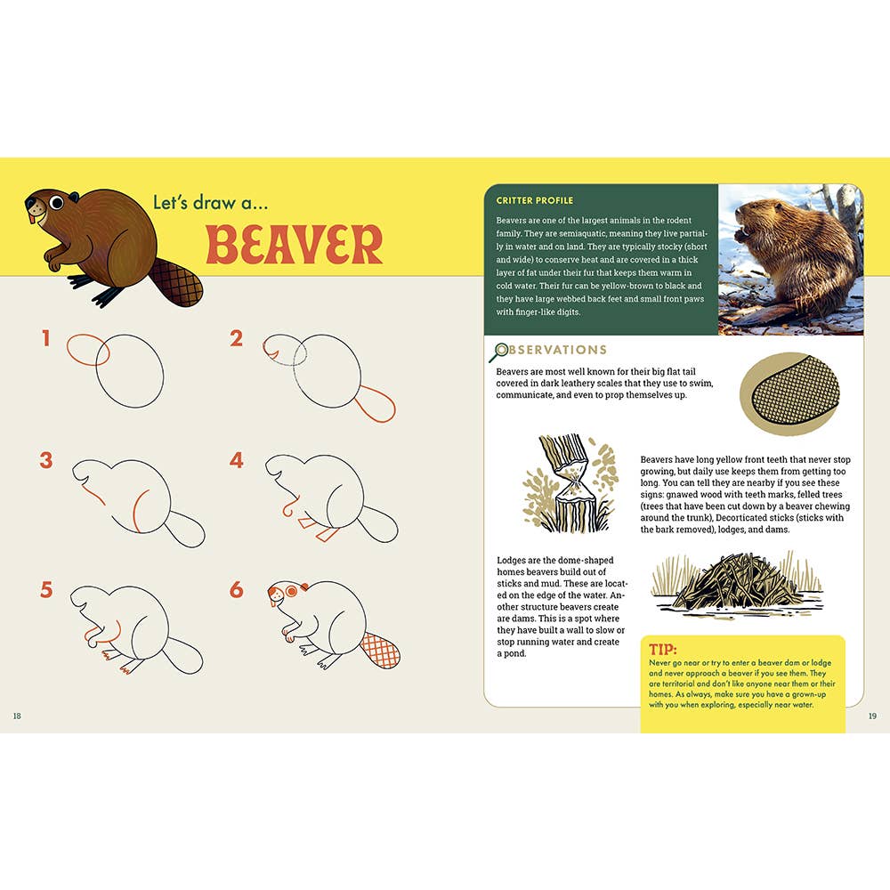 Explorer's Drawing Guide for Kids