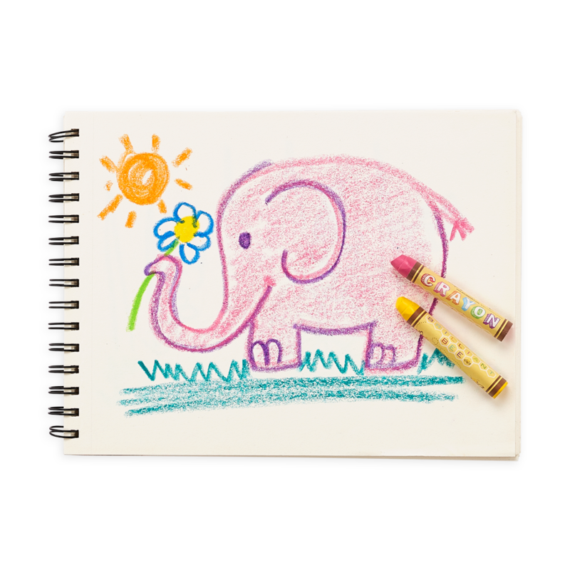 Brilliant Bees Crayons - Odd Nodd Art Supply