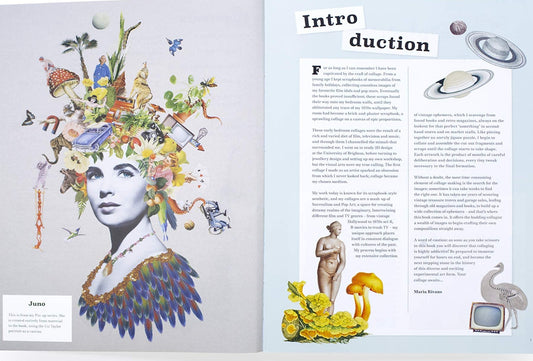 Extraordinary Things to Cut Out and Collage