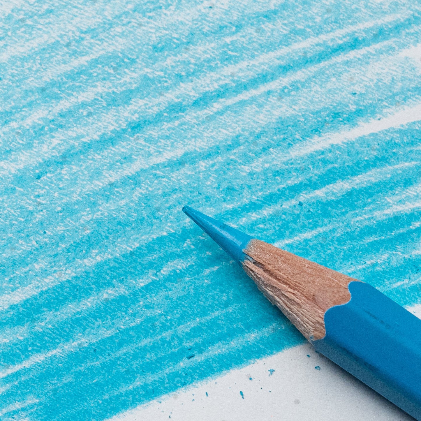 Blackwing Blue Pencils (Set of 4) - Odd Nodd Art Supply