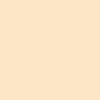 Beige Posca Marker