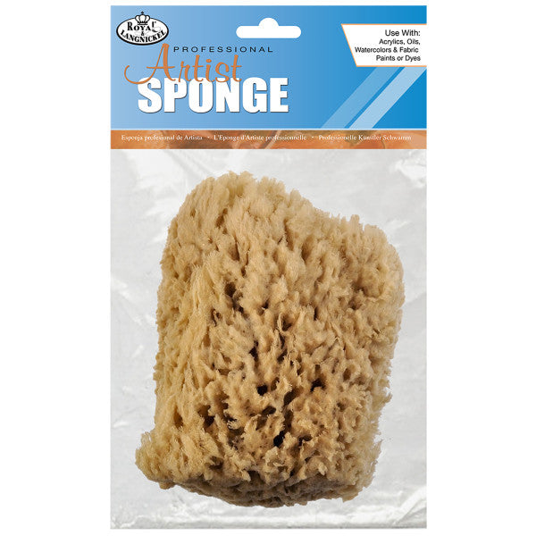 Artist's Sponges