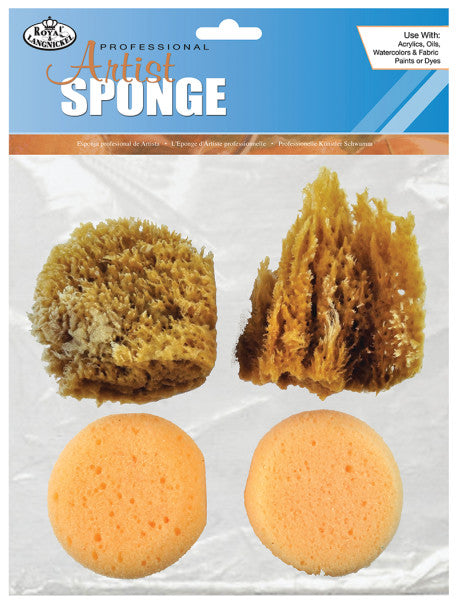Artist's Sponges