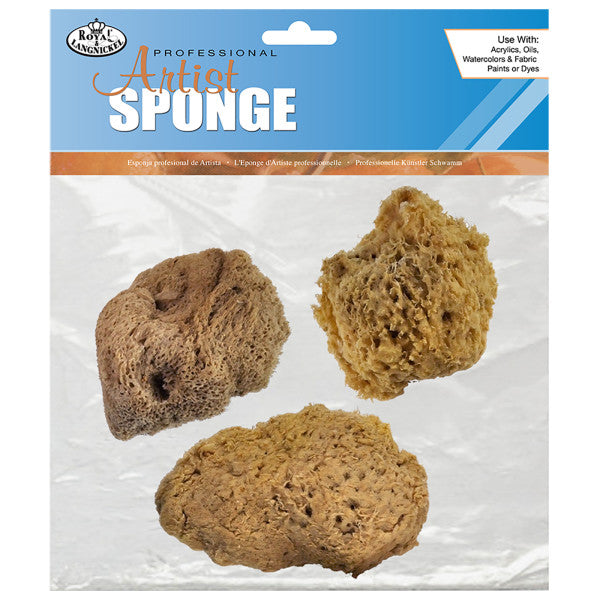 Artist's Sponges