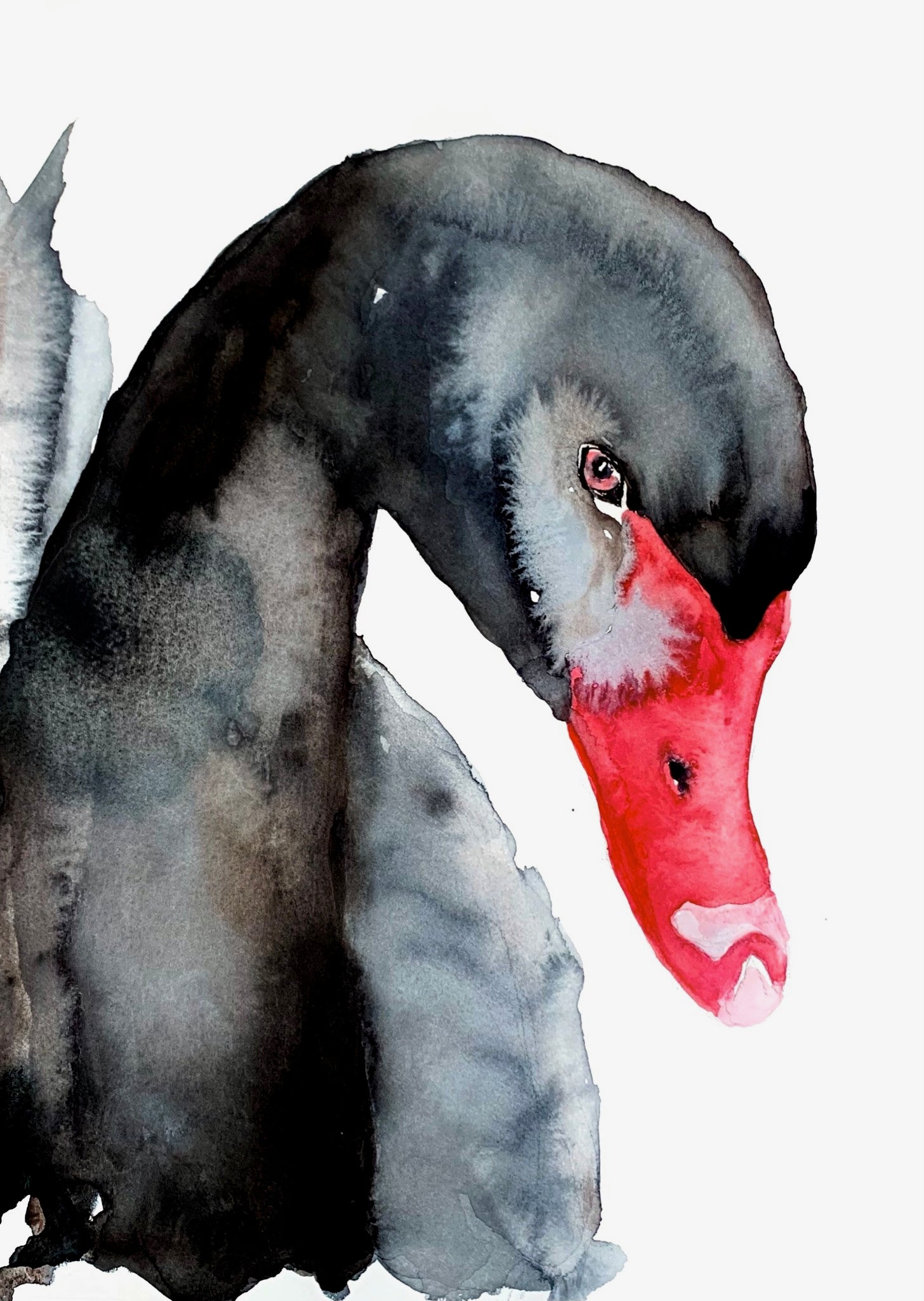Odd Nodd April Newsletter Odd Nodd Art Supply odd-nodd-april-newsletter-odd-nodd-art-supply