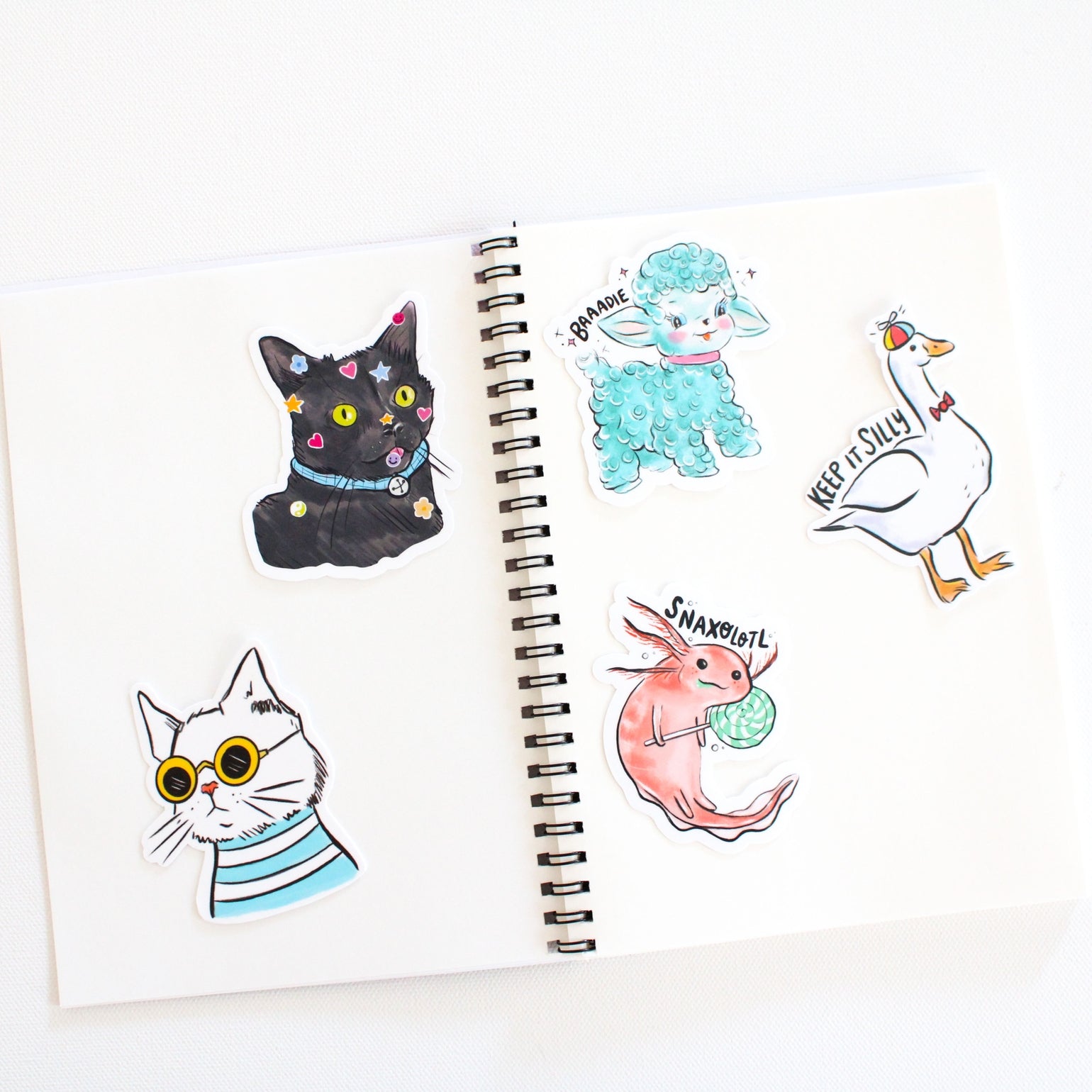 Raccoon Sticker Collection Book