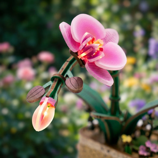 DIY Flower Light Kits