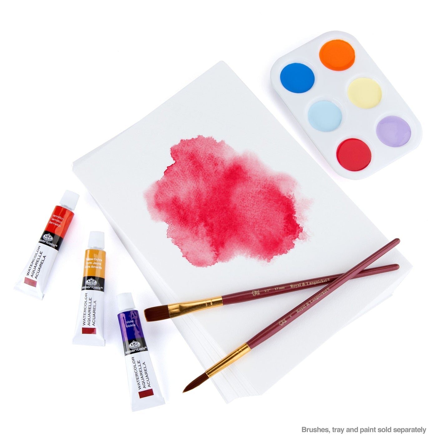Bee 100 Watercolor Blocks