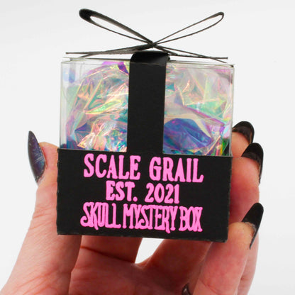 Mystery Skull Blind Box
