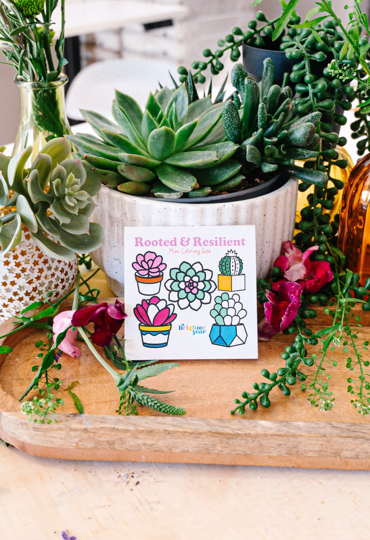 the cover of the Rooted and Resilient book with five different succulent type plants leaning against a variety of houseplants