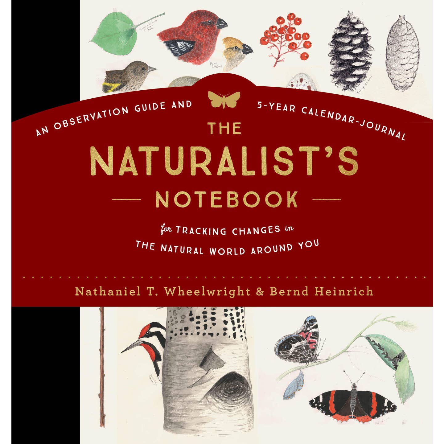 Cover of The Naturalist's Notebook featuring a white background with illustrations of natural elements like birds, pinecones, leaves, a black spine, and brown title lettering on a rusty orange band