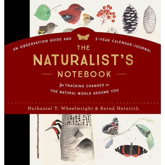 Cover of The Naturalist's Notebook featuring a white background with illustrations of natural elements like birds, pinecones, leaves, a black spine, and brown title lettering on a rusty orange band