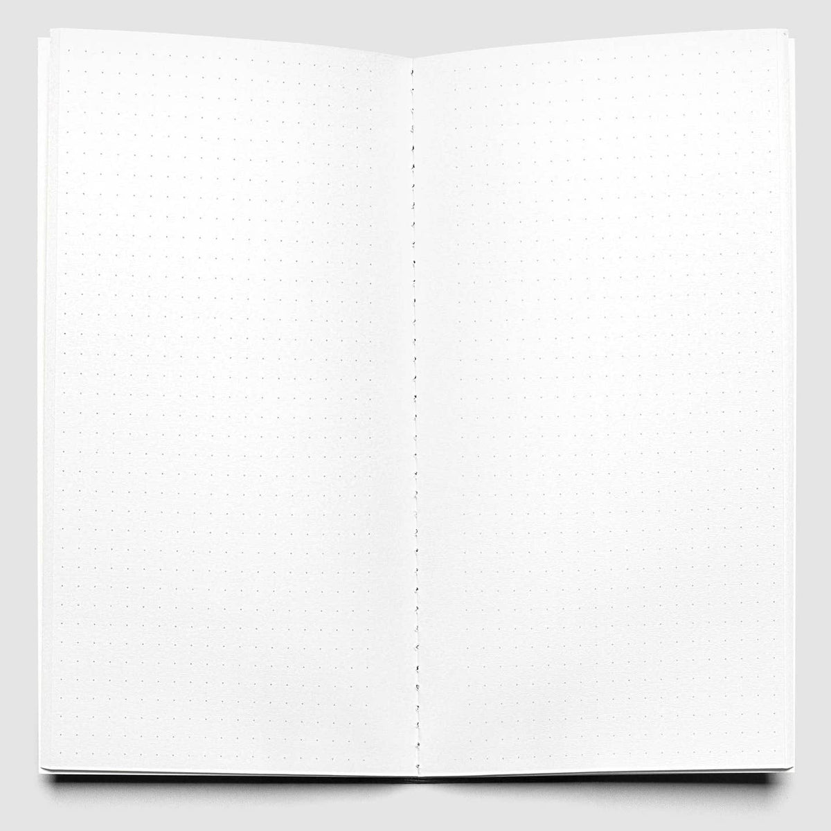 Interior of Cloth & Paper Dot Grid travel notebook