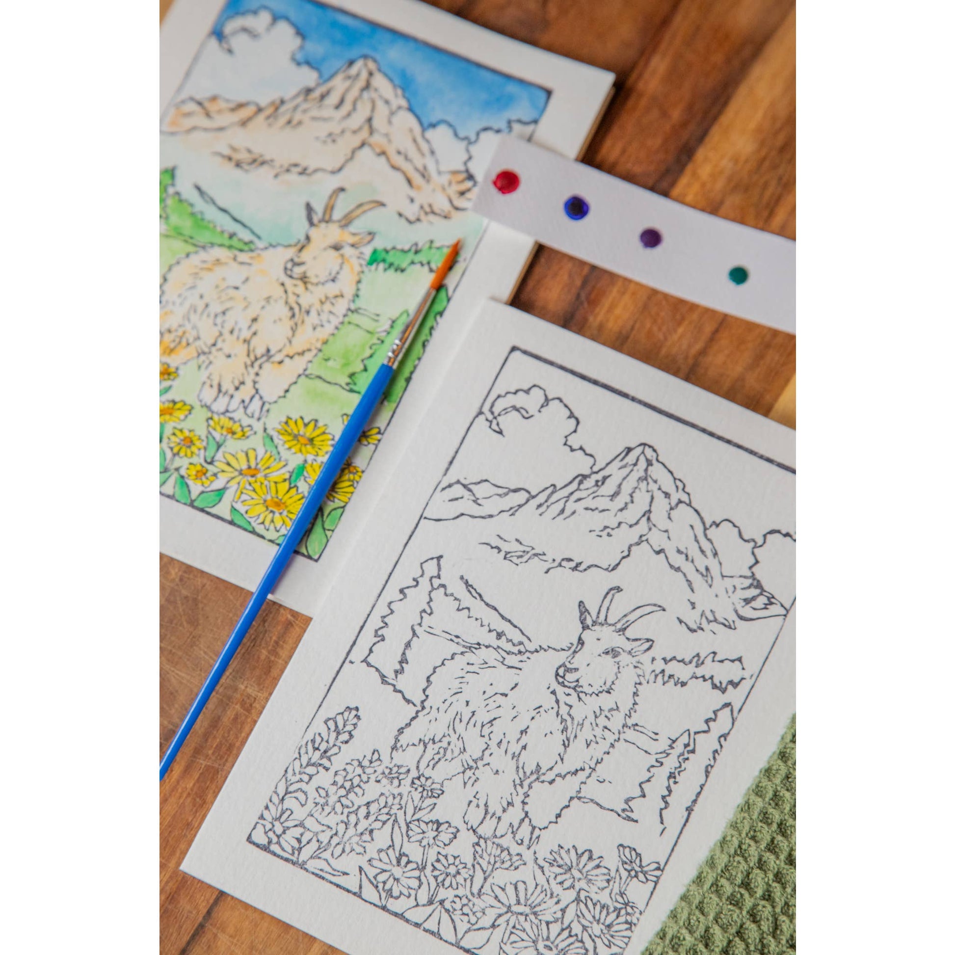 photograph of one painted and one unpainted image of the Glacier Mountain Goat watercolor card kit with a paintbrush and dot card on a natural wood background