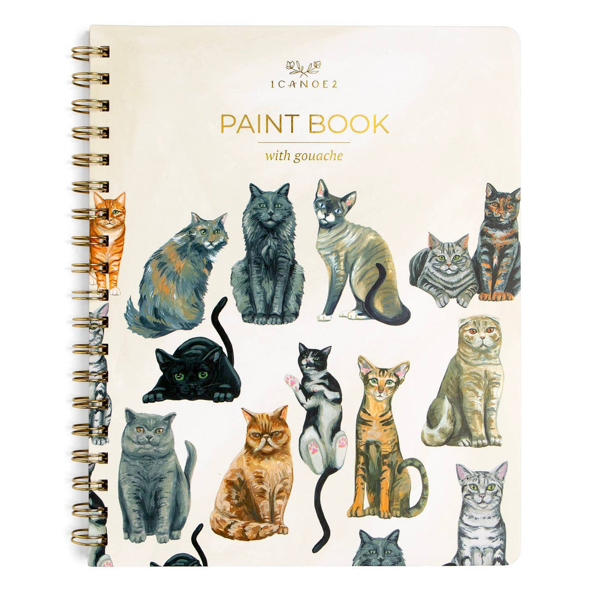 A spiral-bound paint book titled 'PAINT BOOK with gouache' by the brand ICANOE2, featuring a cover decorated with various gouache-style illustrations of cats in different colors and poses on a light cream background.