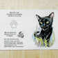 Black Cat Beam Cat Paintables and Palettes - Odd Nodd Art Supply