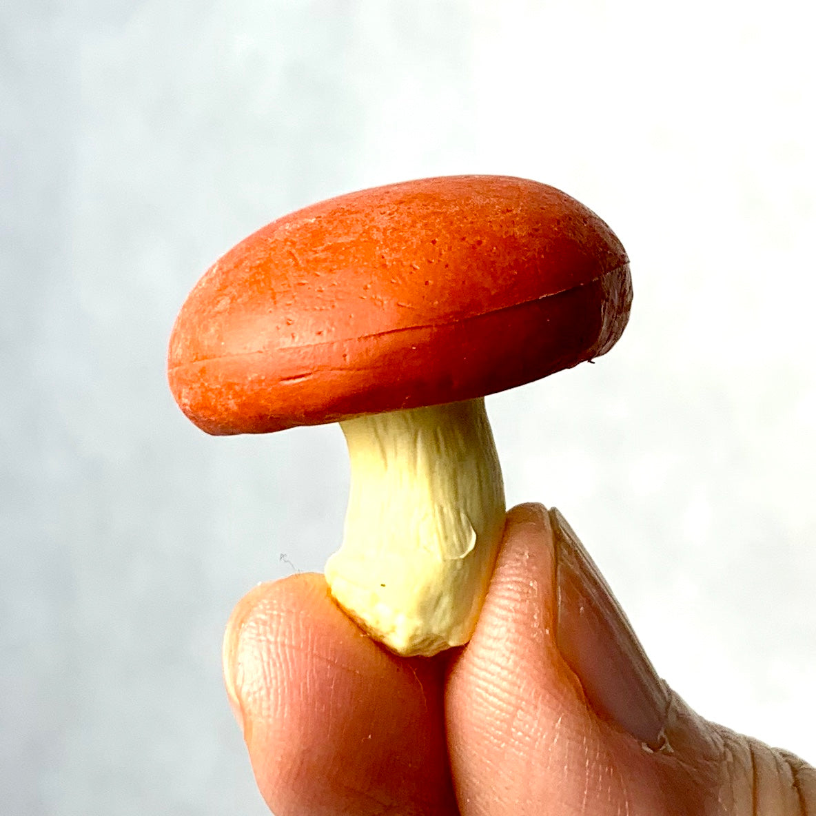 Iwako Vegetable Erasers Set - Odd Nodd Art Supply