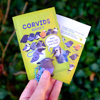 A hand holding two bright yellow Corvids Series 1 blind bags, outdoors against a blurred green foliage background.
