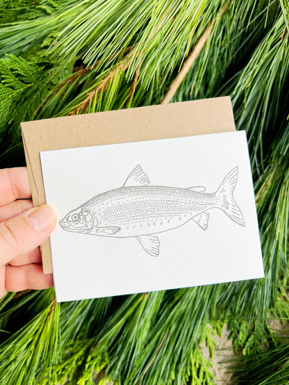 Lake Whitefish Beam Paintables