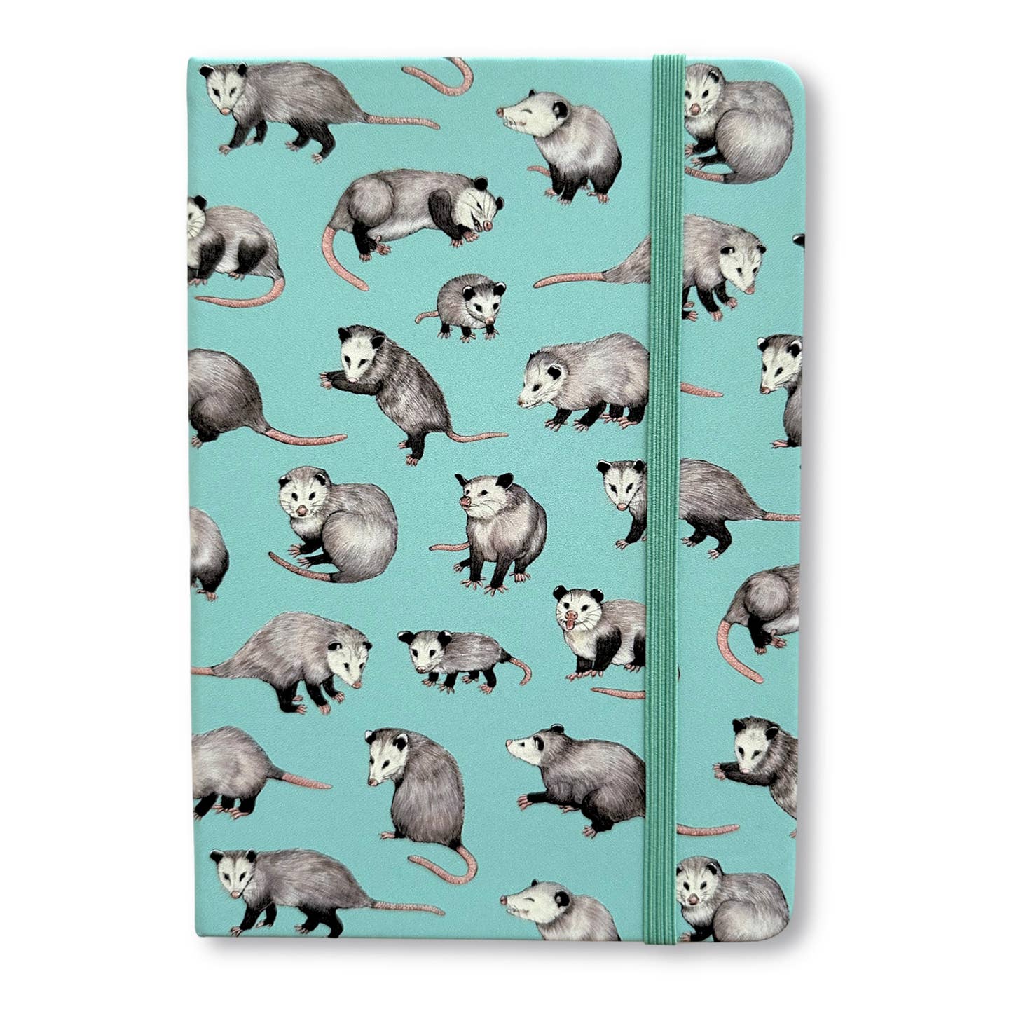 Opossums in a variety of playful positions on an aqua background with an aqua elastic strap closure on a white background