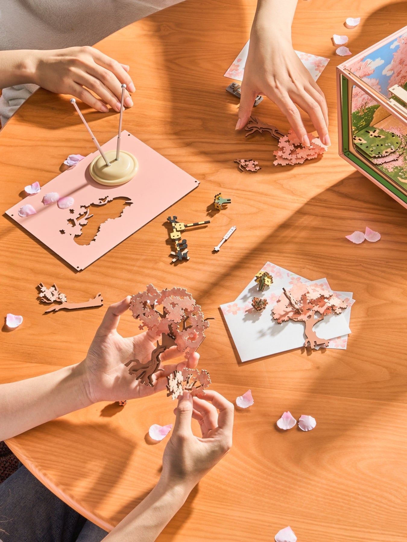 Diy Mechanical Music Box: Sakura Dreamy Tour - Odd Nodd Art Supply
