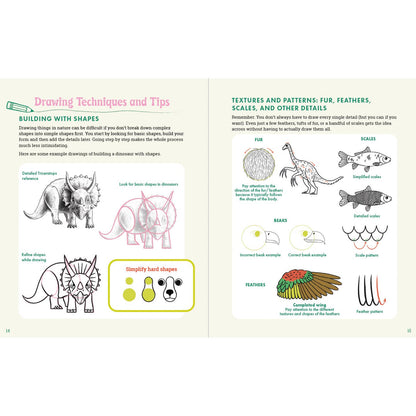 Explorer's Drawing Guide for Kids