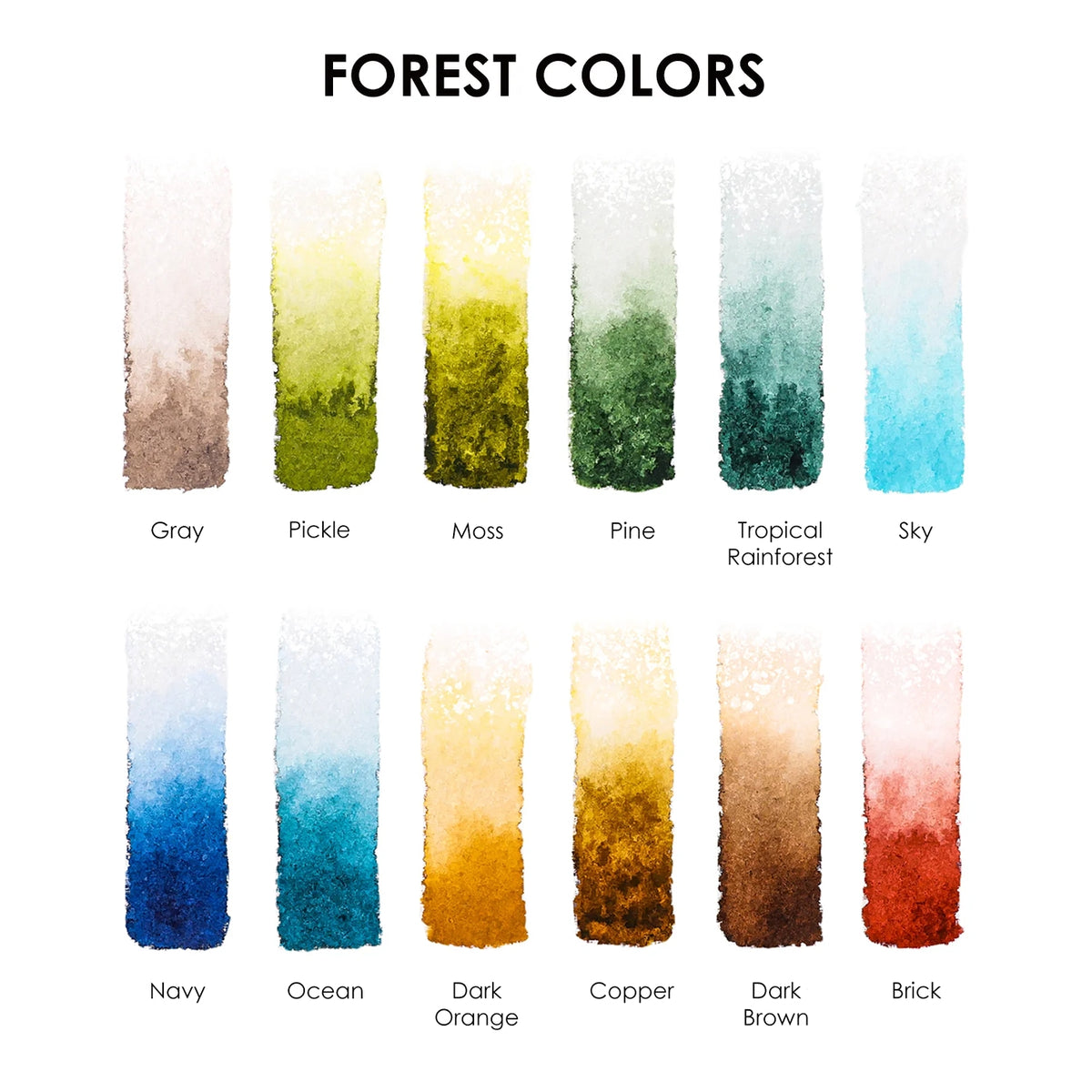 Swatch card for Forest Colors: Gray, PIckle, Moss, Pine, Tropical Rainforest, Sky, Navy, Ocean, Dark Orange, Copper, Dark Brown, and Brick