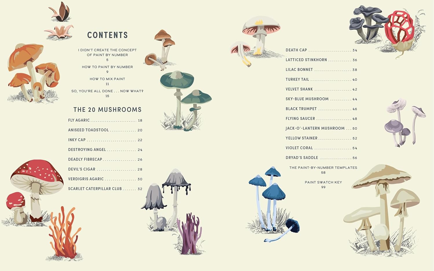 Coloready Mushrooms: 20 Modern Paint-By-Number Prints - Odd Nodd Art Supply