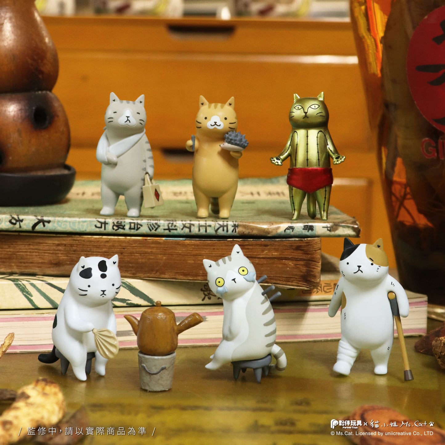 Cat Kung Fu Dojo Blind Box