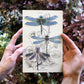 Moth and Myth Paper Specimen Sets - Odd Nodd Art Supply