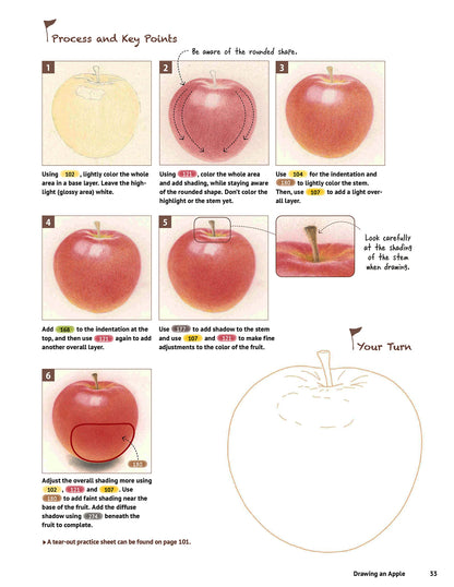 A Beginner's Guide to Colored Pencil Drawing: Realistic Drawings in 14 Easy Lessons! (With Over 200 illustrations)