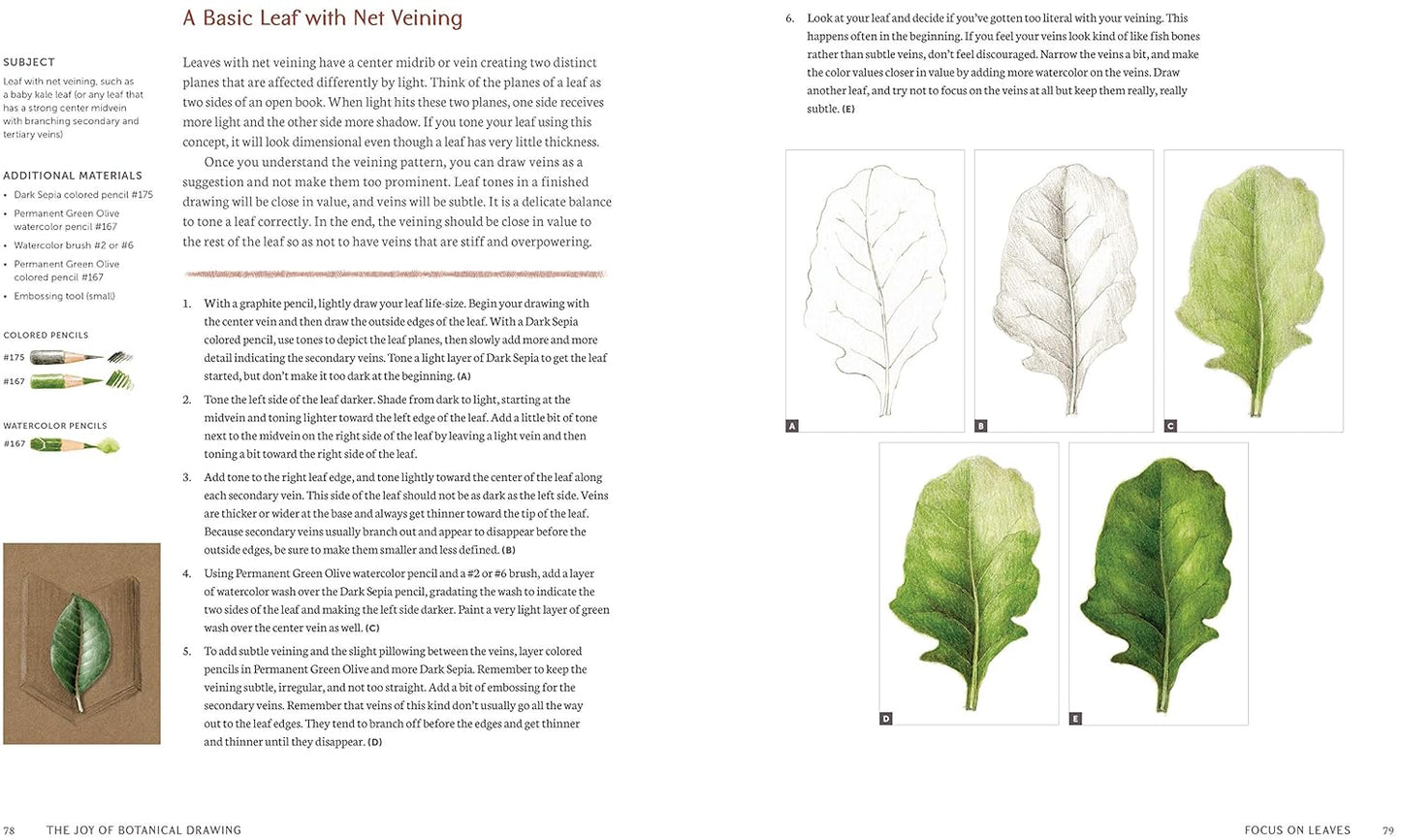 The Joy of Botanical Drawing: A Step-By-Step Guide to Drawing and Painting Flowers, Leaves, Fruit, and More