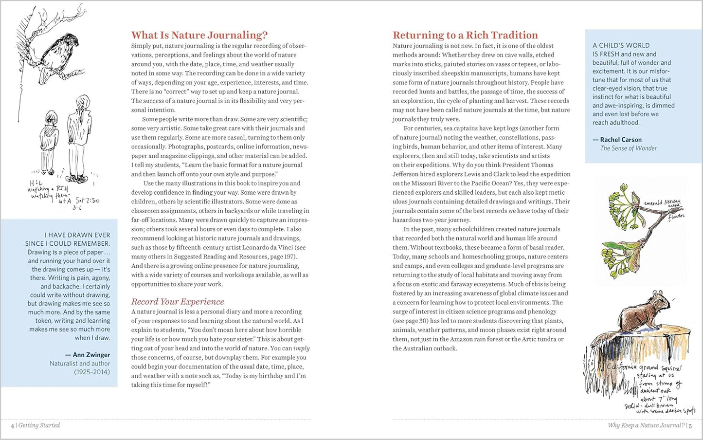 Keeping a Nature Journal, 3rd Edition: Deepen Your Connection with the Natural World All Around You