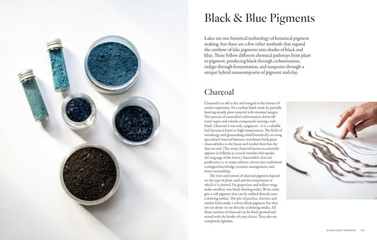 From Plant to Pigment: How to make your own vibrant inks, pastels and paints