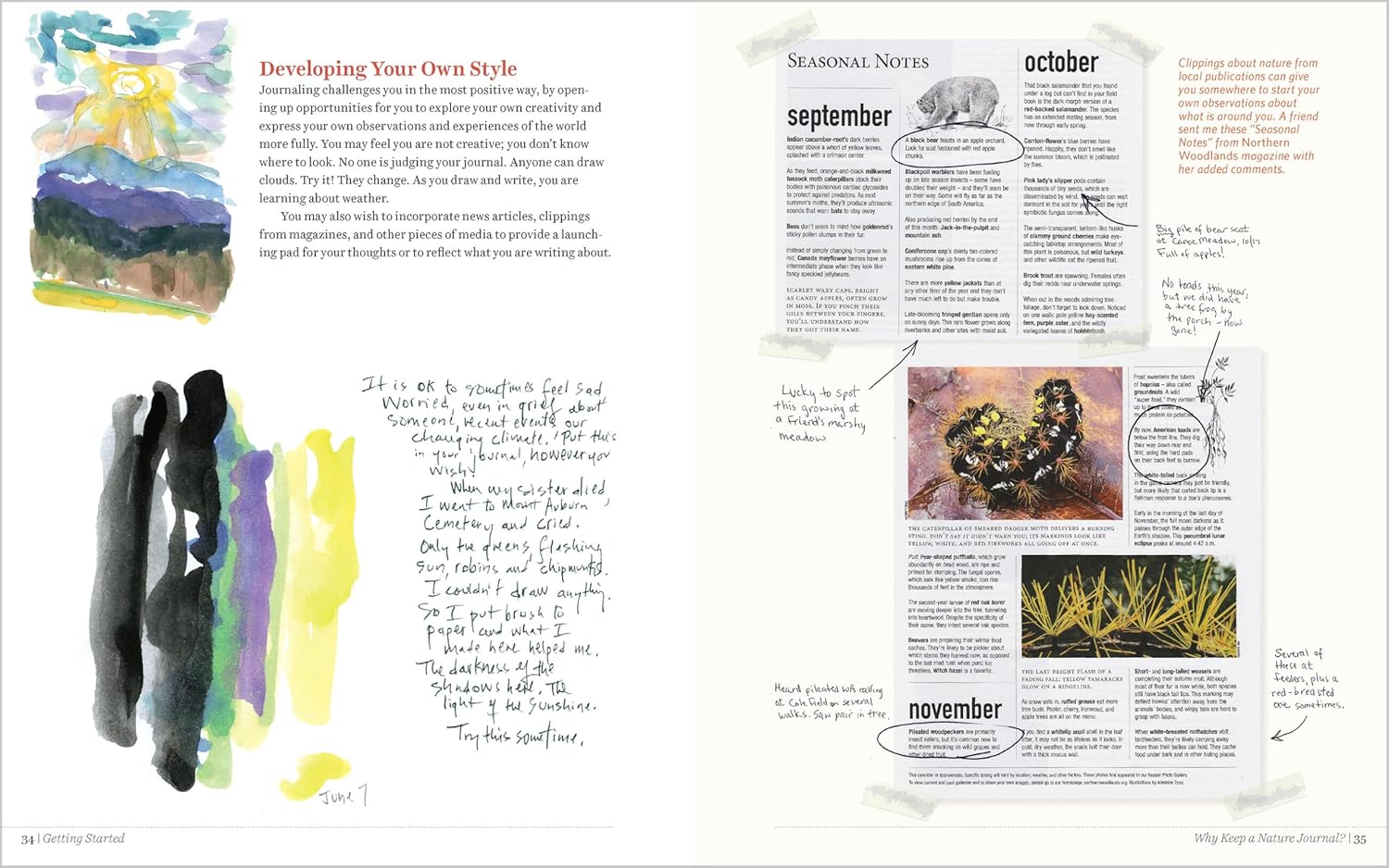 Keeping a Nature Journal, 3rd Edition: Deepen Your Connection with the Natural World All Around You