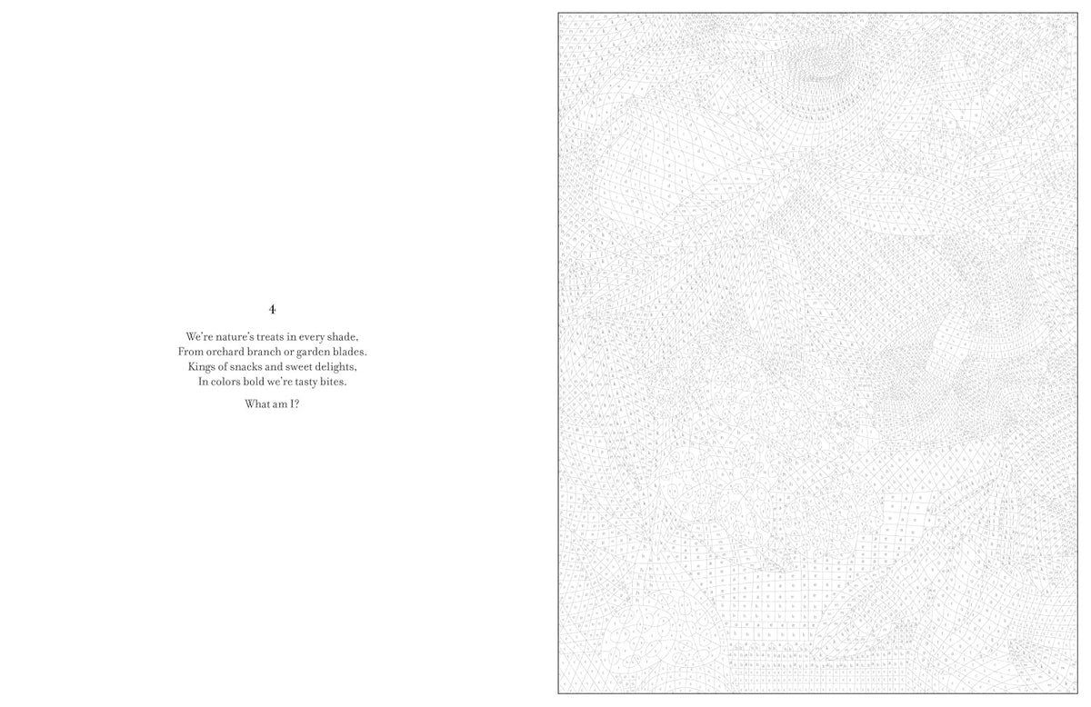 Mystery Coloring Books