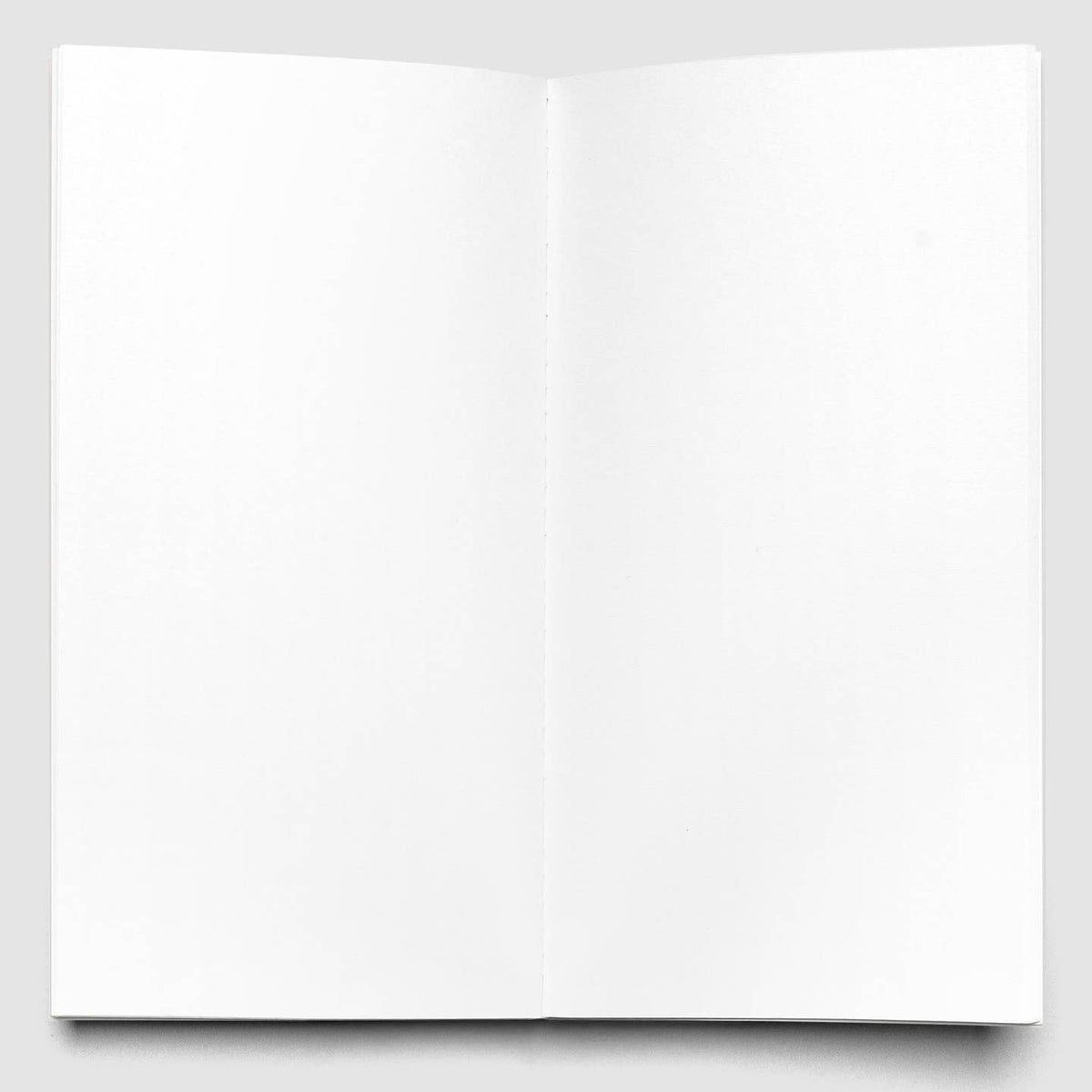 Interior of Cloth & Paper Blank travel notebook