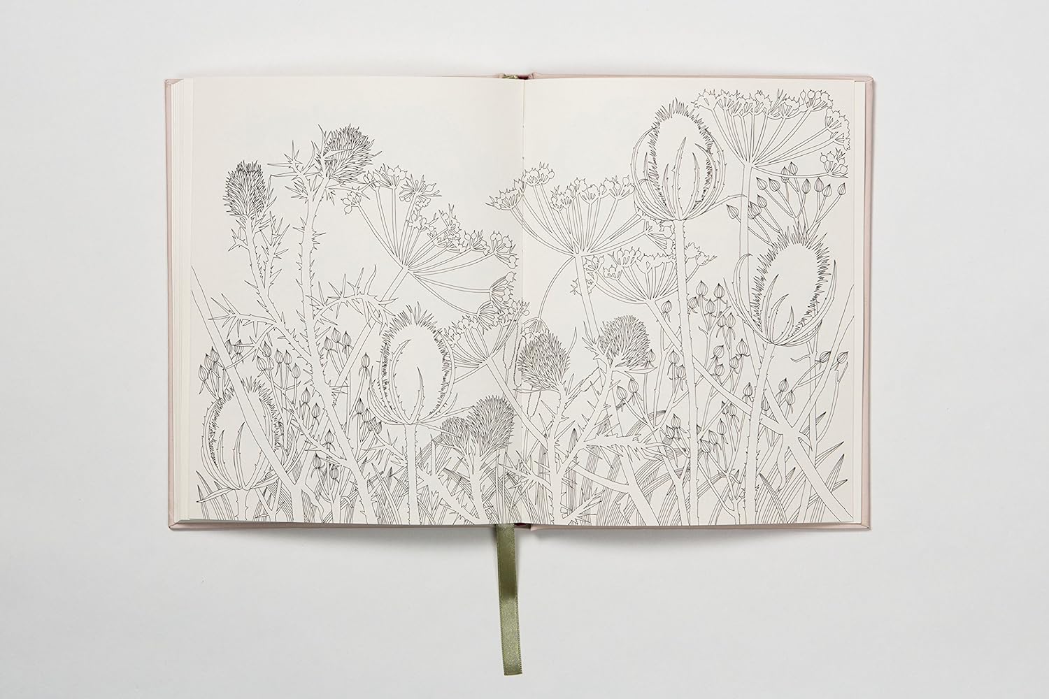 The Flower Year: A Coloring Book for Adults - Odd Nodd Art Supply