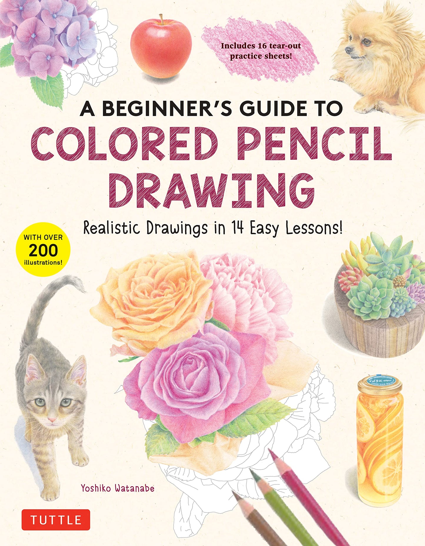 A Beginner's Guide to Colored Pencil Drawing: Realistic Drawings in 14 Easy Lessons! (With Over 200 illustrations)